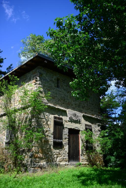 Panoramahotel & Restaurant Am Marienturm رودولشتات المظهر الخارجي الصورة